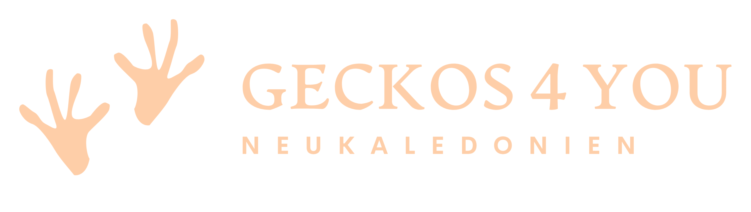 Geckos 4 You